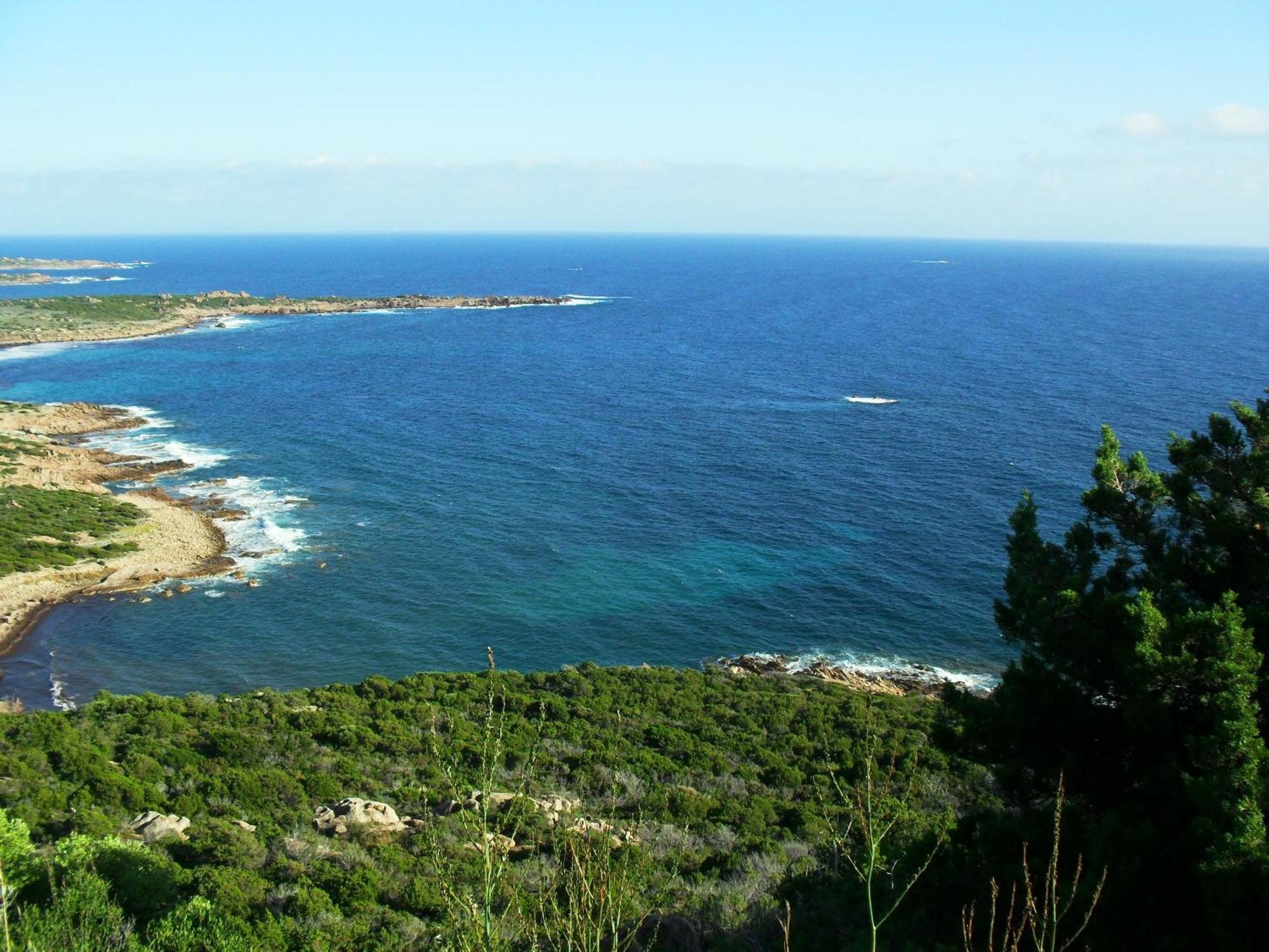 Residence Les Aulnes Porto-Vecchio  Eksteriør bilde